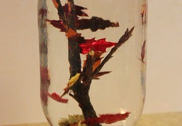 Поделки на тему осень