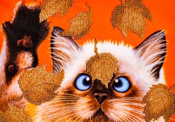 Картина из бисера Котенок в листьях