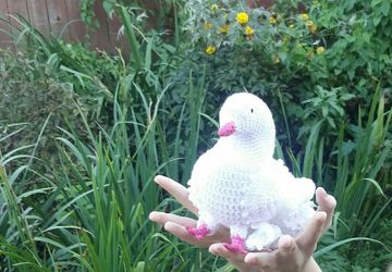 Вязаный голубь