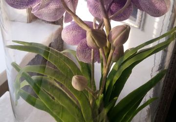 Цветы ручной работы из полимерной глины