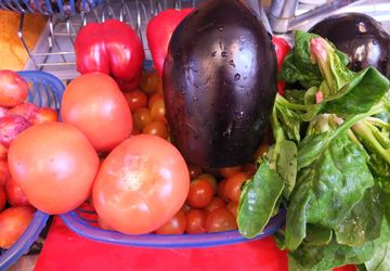 Еда спасёт мир