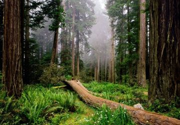 Больше, чем просто фотография