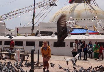 Тренинг "Раненая Птица"