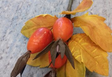 Брошь из фоамирана "Шиповник"