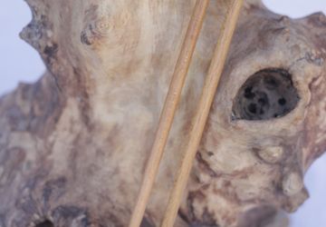 Заколки для волос деревянные