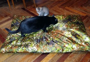 Матрас для большой собаки