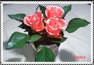 Интерьерная композиция