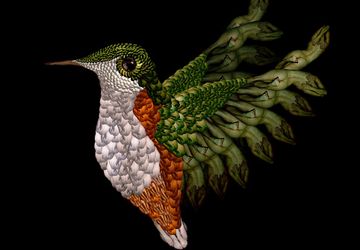 "Обнаженные" цветы и животные Сесилии Уэббер