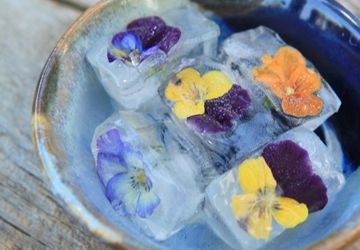 Цветочные кубики льда