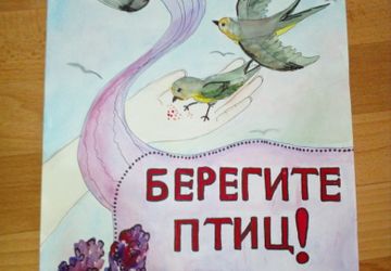 Плакат " БЕРЕГИТЕ ПТИЦ"