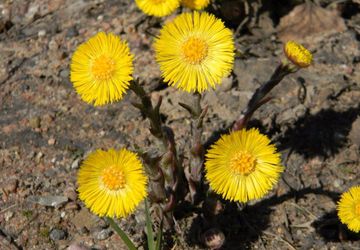 Фестиваль творчества "СФЕРА"