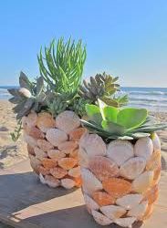 Горшки для растений своими руками.