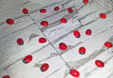 Как сделать божью коровку из кофейного зерна.
