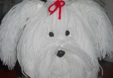 мальтийская болонка