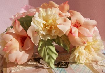 Гребень Зефир