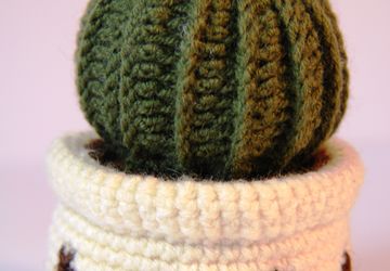 Кактус маленький