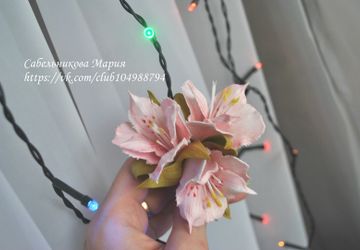 Шпильки Альстремерии