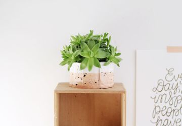 Как сделать декоративный горшок для цветов из глины