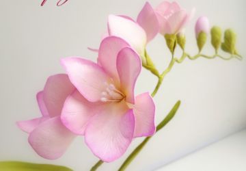 Мастер-класс "Фрезия Double Pink" из фоамирана (видео)