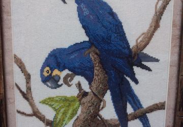 Неразлучники