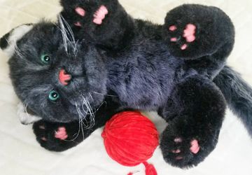 Реалистичный кот Жорик