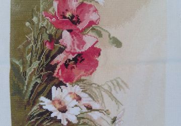 Маки полевые