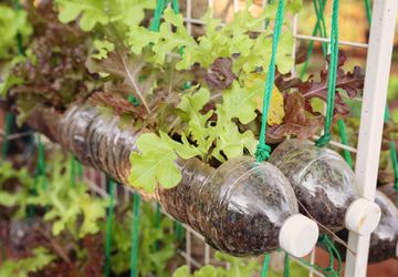 20 идей что можно сделать из пластиковых бутылок