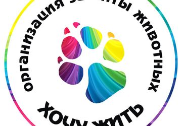 Благотворительная фотосессия "Доброе сердце"