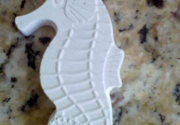 Морской конёк