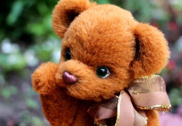 Тедди мишка Редди