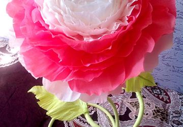 Ростовой цветок "Сказка"