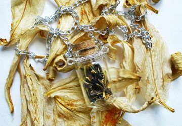 Кулон с сухоцветами