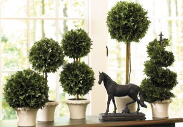 мастер-класс "Осенний Топиарий"