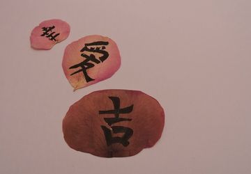 Картина на лепестках розы