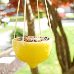 Кормушки для птиц своими руками.