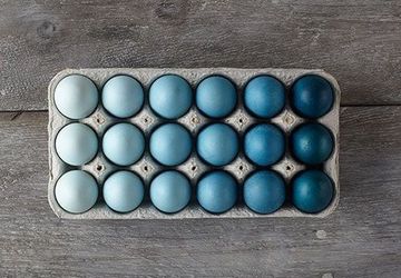 Подставки для яиц на Пасху: 8 идей