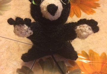 Чёрный енот