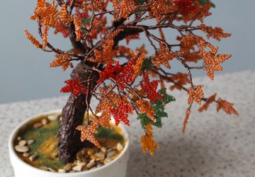 Осенний клен