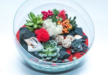 Флорариум-интересная альтернатива букету цветов