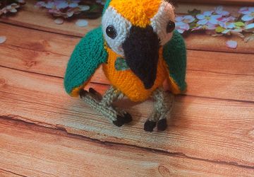 Попугай АРА