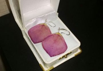 Серьги Шиповник