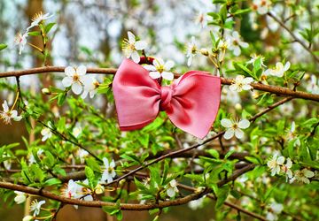 Как сшить галстук бабочку