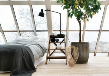 Как грамотно вписать комнатные растения в интерьер