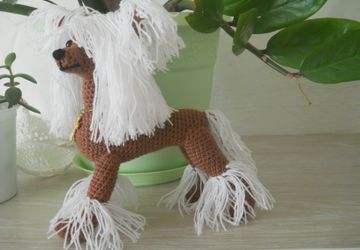 китайская хохлатая