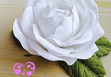 #цветыизфоамирана