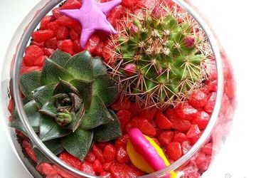 "Цветущий мир"