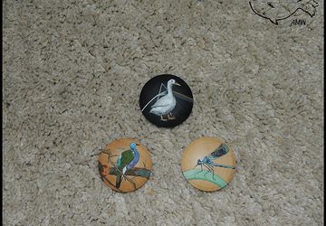 Утка, Фазан и Стрекоза