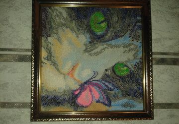 кот с бабочкой