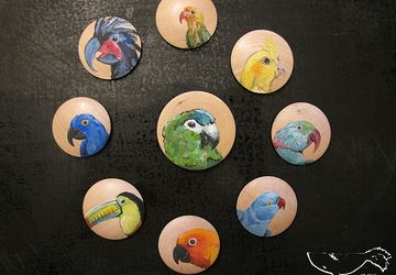 Попугаи и Тукан