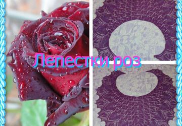 Шаль "Лепестки роз"